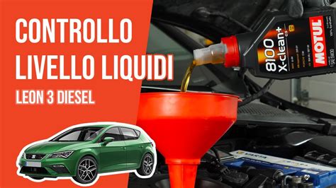 Controllo E Rabbocco Livello Liquidi Leon Tdi Youtube