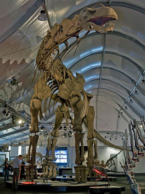 Argentinosaurus: The Largest Land Animal to Ever Walk the Earth ...