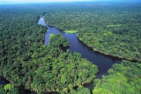 Tortuguero Costa Rica National Park One Day Guided Tour San Jose