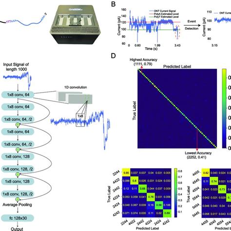 Chemically Modified Nucleotides Used In The Dna Data Storage System Download Scientific