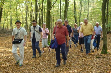 Sarralbe Une Marche Trois Temps