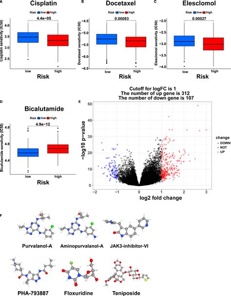 Frontiers Identification Of Novel Molecular Subtypes And A Signature