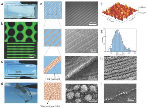 Arrays Of Biosynthesized Silica Micropatterns On The Hydrogel