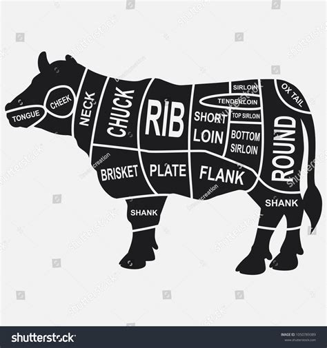 Cut Beef Set Poster Butcher Diagram Stock Vector Royalty Free 1050789389 Shutterstock