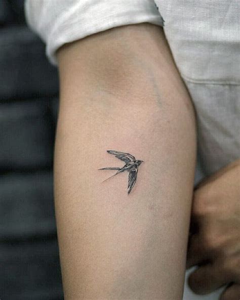 220 Swallow Tattoos Designs With Meaning 2022 TattoosBoyGirl