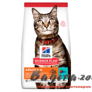 Купить Hill's (Хиллс) Science Plan Feline Adult Optimal Care сухой корм ...