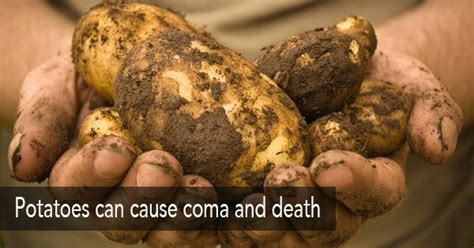 These Are 10 Of The Scariest Foods In The World