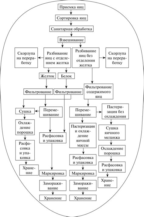ПРОИЗВОДСТВО ЯИЧНЫХ ПРОДУКТОВ - Технология переработки яиц