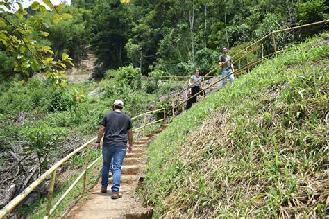 Museu da Energia de Salesópolis promove passeio na Mata Atlântica