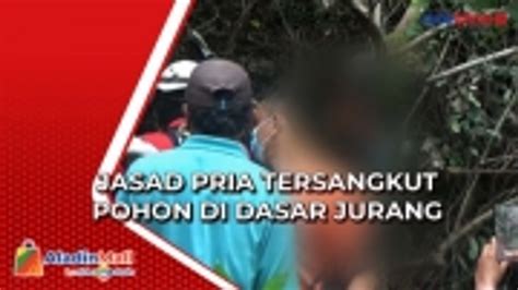 Pencari Rumput Temukan Jasad Pria Tersangkut Pohon Di Dasar Jurang Di