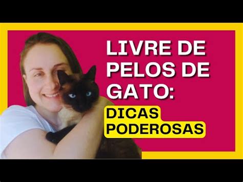 Dicas PODEROSAS Para Remover PELOS DE GATO SOLTOS PELA CASA Como