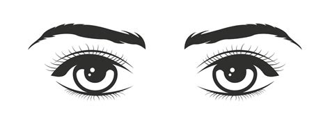 Female Beautiful Eyes Black Drawing Isolated Vector Illustration