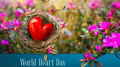 World Heart Day 2021 Know All About The Date History Significance