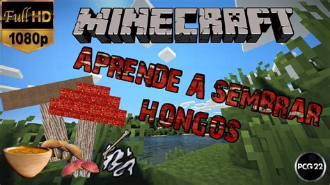 Aprende A Hacer Plantaciones De Hongos En Minecraft PCG 22 YouTube