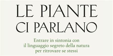 Le Piante Ci Parlano Di Stefania Piloni RTL 102 5 Play