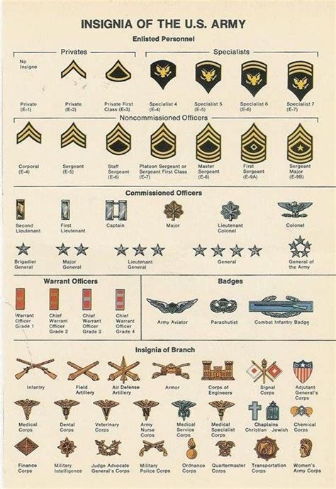 The Insignia Of The U S Army Is Shown In This Diagram From An Old Book