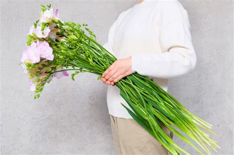 第十三話 「フリージア」 旬花百科 花毎（はなごと）