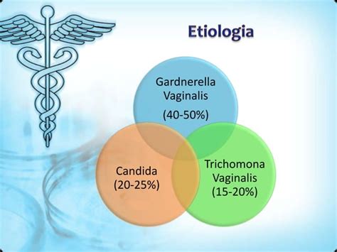 Infecciones Del Tracto Genital Inferior Ppt