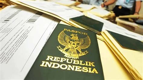 Apa Itu Paspor Diplomatik Fungsi Dan Cara Mendapatkannya