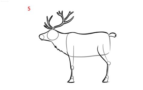 How To Draw A Reindeer Reindeer Drawing Ideas