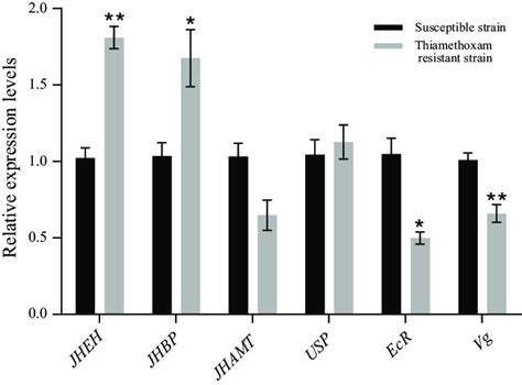 Relative Mrna Expression Levels Of Juvenile Hormone Epoxide Hydrolase