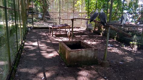 Tempat Menarik Di Kota Bitung Yang Harus Dikunjungi Lelungan