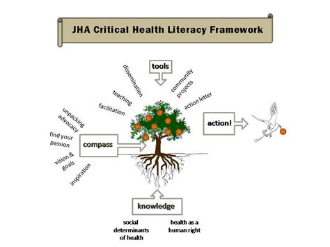 Jha Critical Health Literacy Framework