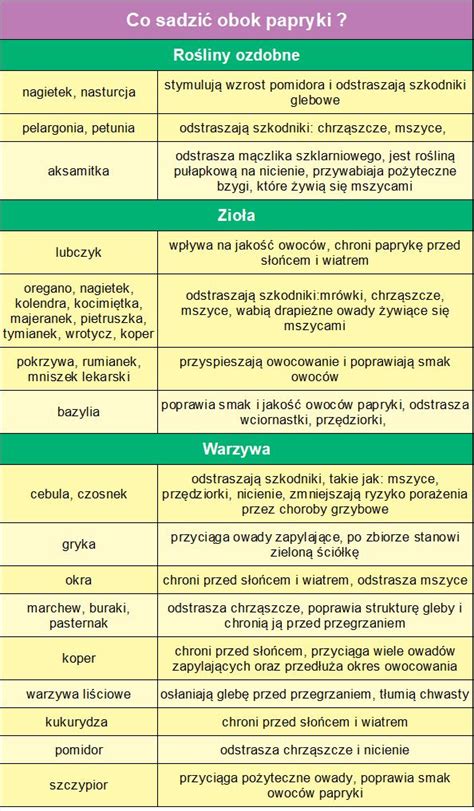 Co sadzić obok papryki in 2023 Vegetable garden Garden Plants