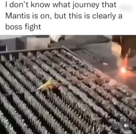 Metal gear boss fight : r/oompasubs