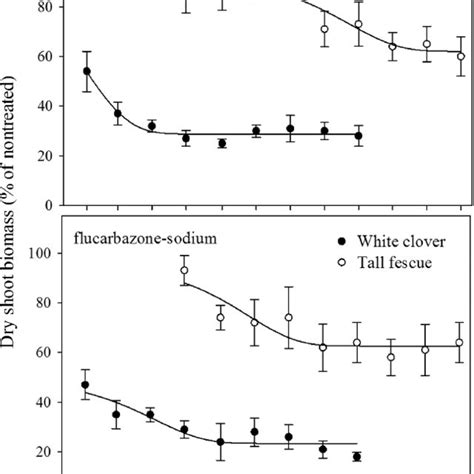 Dry Shoot Biomass Of Titan Tall Fescue And White Clover Following