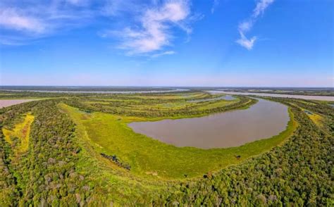 Argentina Contar Con Un Nuevo Parque Nacional En Chaco