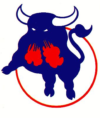 Birmingham Bulls 76-77 Logo - The Hockey Writers