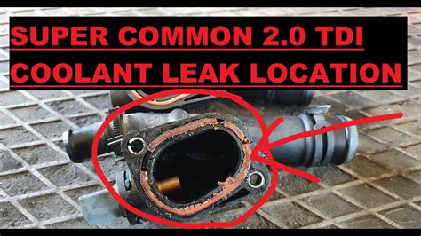 Here S Whats Wrong With Your Tdi If It Leaks Coolant Youtube