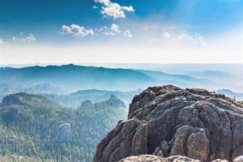 3200 Black Hills Landscape Stock Photos Pictures And Royalty Free