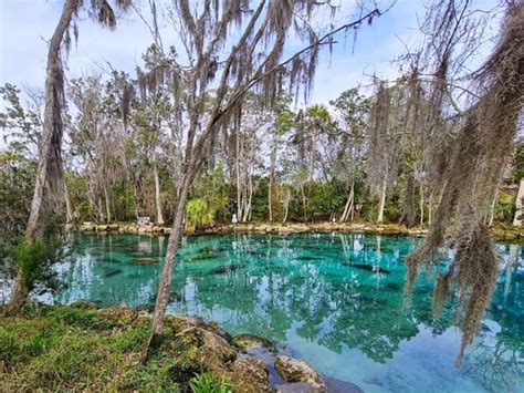 7 Enchanting Spots You Must Visit in Crystal Springs, Florida