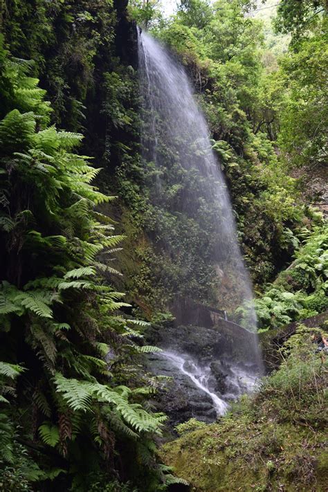 Fotos gratis naturaleza cascada selva Cuerpo de agua vegetación