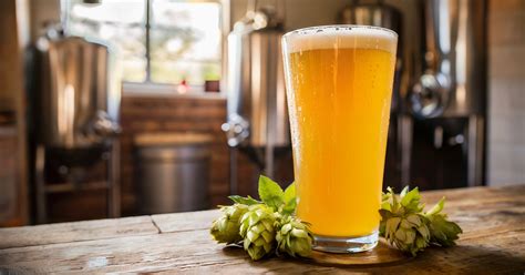 The Best Hops For Brewing Hazy Ipas At Home Homebrewers Guide