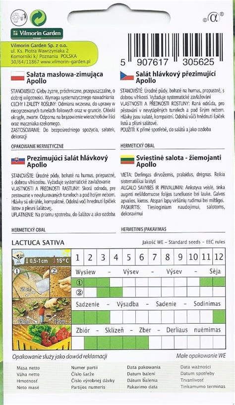 Sałata Apollo 1g zimująca agromarket24 pl