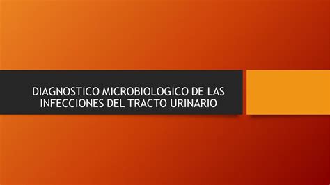 Diagn Stico Microbiol Gico De Las Infecciones Del Tracto Urinario