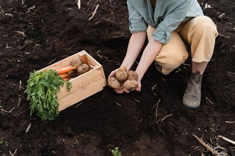 Premium Photo Wooden Box With Fresh Raw Potatoes And Carrots In