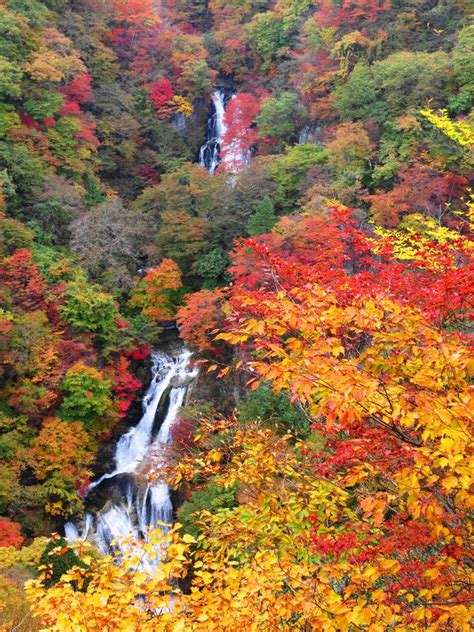 日光のおすすめ紅葉スポット9選 ポイントをおさえて秋を堪能！【2024】 トラベルjp 旅行ガイド