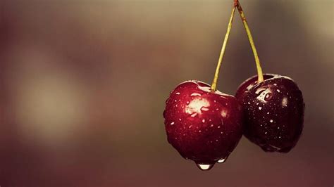 Wet Cherries Nature Entertainment People Hd Wallpaper Peakpx