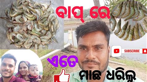 ଆସ ଦେଖିବା ପୋଖରୀ ରେ କେତେ ମାଛ ‌manas Rinki Subha Express Daily