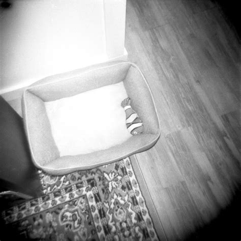 Charleston Sc 12 2022 Holga Illford3200 Kyle Morrissey Flickr