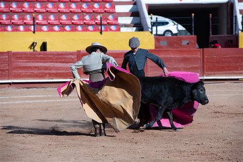 Tauromaquia La Dominaci N Considerada Arte Clamor De Libertad