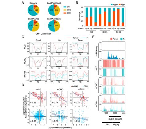 Dna Methylation Level Is Negatively Associated With Lncrna Expression