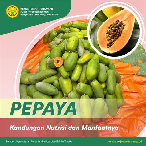 Pepaya Kandungan Nutrisi Dan Manfaatnya