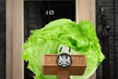 Mp Heard Shouting Bring The Lettuce Back During Prime Minister S Questions Daily Star