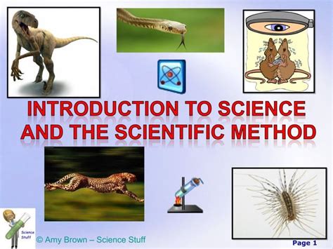 Scientific Method Power Point Ppt