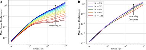 Shape Driven Confluent Rigidity Transition In Curved Biological Tissues